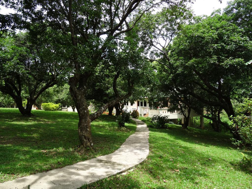 Chang Garden Resort Mae Chan Exterior foto